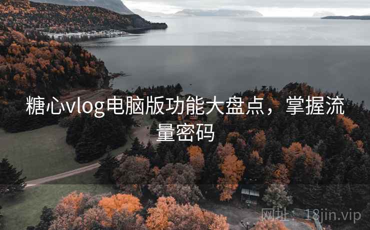 糖心vlog电脑版功能大盘点，掌握流量密码