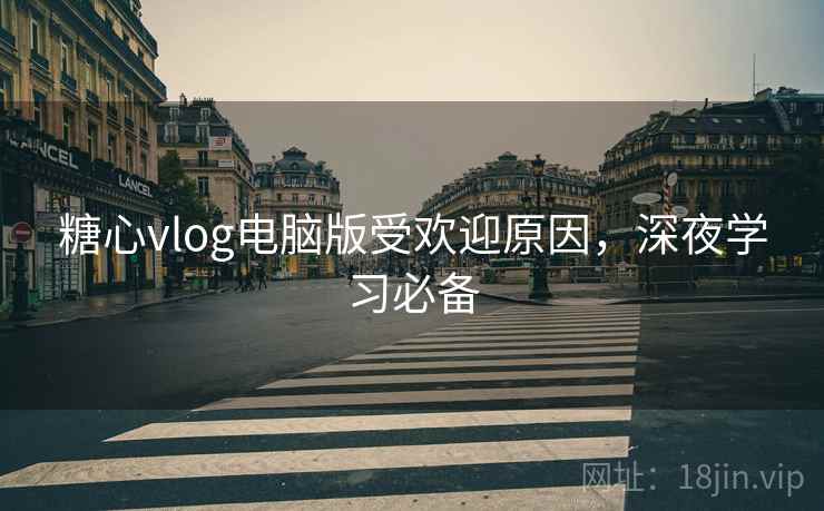 糖心vlog电脑版受欢迎原因，深夜学习必备